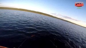 Воблеры Lahti не дают скучать - 6 щук и 2 окуня на Карельском озере