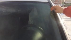 Лайфхак от ТТС: Что делать, чтобы на лобовом стекле не появлялась наледь?