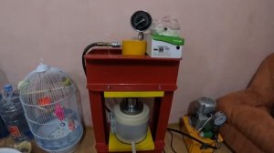 Холодный отжим виноградного масла в домашних условиях