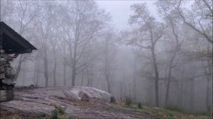 Одиночный поход с ночёвкой. Аппалачская тропа.