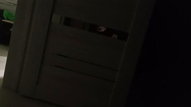 пробное видео