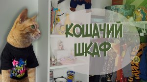 КОШАЧИЙ ШКАФ