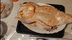 УТКА В РУКАВЕ/