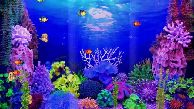 Подводный мир. Красивый футаж