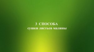 Заготовки листьев малины для чая. Способы.