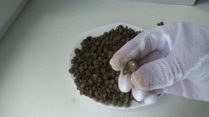 Пуговицы гирьки | Разновидности | Vintage buttons