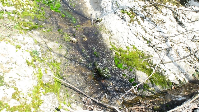 DSC_5698 смотреть онлайн