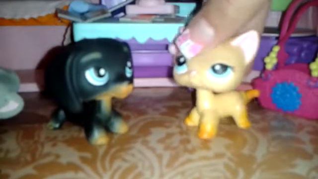 LPS: " Поликлиника "  №5