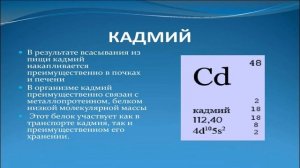 ВРЕД СЕМЕЧЕК подсолнуха