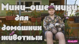 Мини-ошейники с колокольчиками для домашних животных 🐈