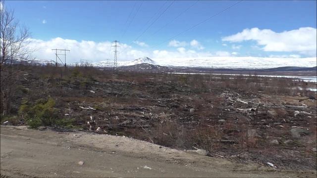 Лес, озеро и о глупости. Кольский полуостров. 21 мая 2024.