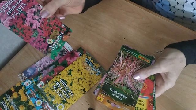#МНОГОЛЕТНИКИ, ЧТО ПОСАЖУ В ЭТОМ ГОДУ