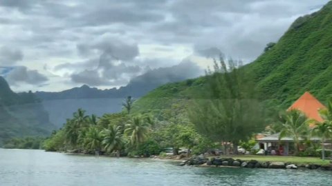 Тропическое настроение!!!!!!!!!! Полинезийская музыка