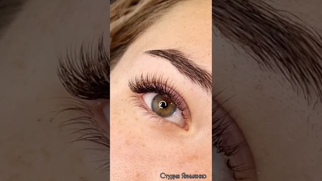 Первая самостоятельная работа ученицы. Базовый курс с ноля.  #наращиваниересниц #классика #обучение