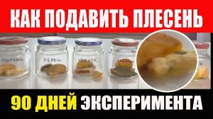 Длительное Хранение Продуктов. Как Подавить Плесень и Бактерии