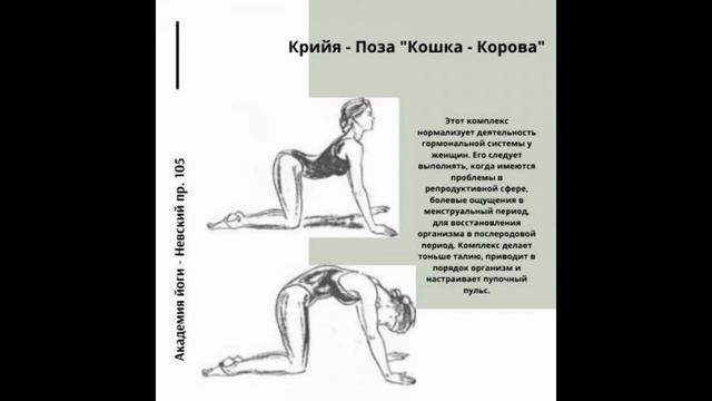 правильное выполнение позы кошки для спины