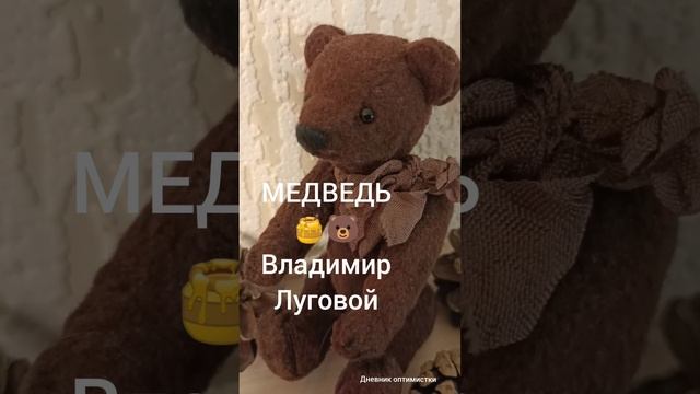 ,,МЕДВЕДЬ" Владимир Луговой #дневникоптимистки #медведь