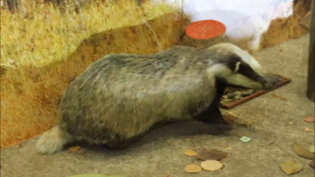 Отдел природы смотреть онлайн