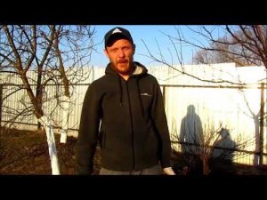 ГРУША.ЯБЛОНЯ.ВИШНЯ.СРОЧНО.НЕ ПРОПУСТИТЕ. ПЕРВАЯ ВЕСЕННЯЯ ОБРАБОТКА ПЛОДОВОГО САДА.