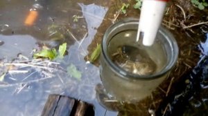 Измерения ЕС воды на своем участке.