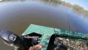 Рыбалка в Астрахани с егерем Саней ловля на живца