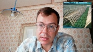 Виды улиток и способы их разведения  | Muller | Разведение | Maxima | Улиточная ферма | Бизнес |