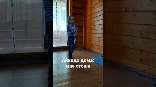 Айкидо дома: мае отоши