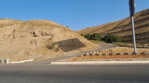 А в горах пасутся, Ко.. кого мы встретили в горах