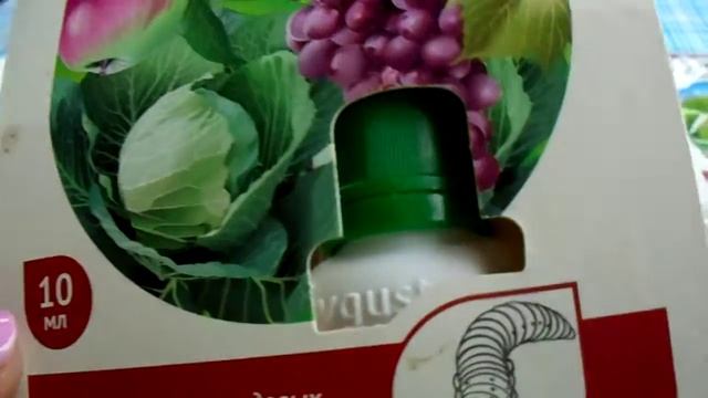 ИНСЕКТИЦИДЫ В БОРЬБЕ ПРОТИВ ВРЕДИТЕЛЕЙ. смотреть онлайн