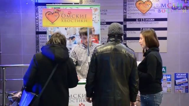 БЕЗДОМНЫЕ ЖИВОТНЫЕ Акция Флагман смотреть онлайн