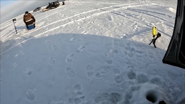 СУДАК НА ВИБЫ ЗИМОЙ! ДАРИМ МНОГО ПОДАРКОВ прямо на льду!!! В ЭХОЛОТЕ МНОГО РЫБЫ! Зимняя рыбалка 202 смотреть онлайн