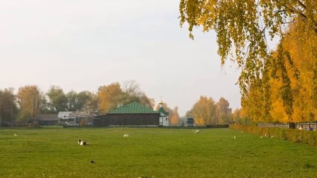 "ОТГОВОРИЛА РОЩА ЗОЛОТАЯ". СЕРГЕЙ ЕСЕНИН. смотреть онлайн