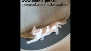 Беговое колесо для кошек, колесо открытого типа