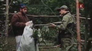 Каха на границе