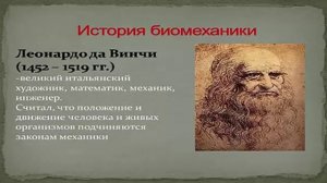 Биомеханика Человека