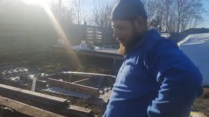 ДЕЛА САДОВО ОГОРОДНЫЕ.?? САЖАЕМ ВИНОГРАД, ПОМИДОРЫ ПОД ЗИМУ.