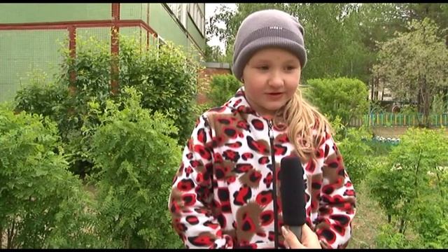 Деревья выдыхают кислород, который нам нужен смотреть онлайн