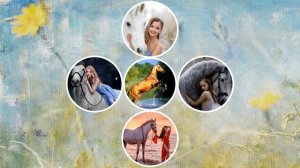 Кони, фото и движение линий.