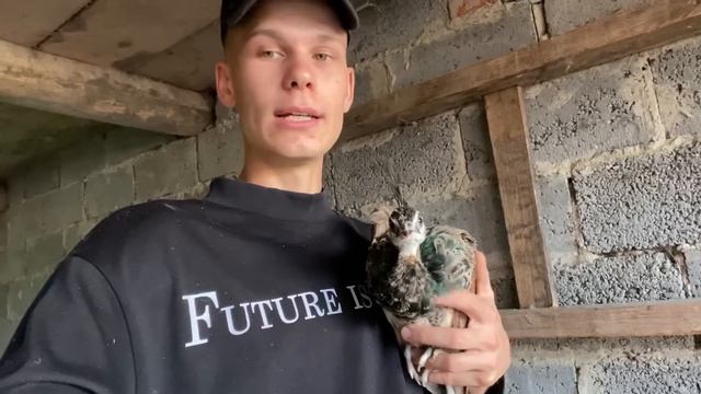 КАК ПРОХОДИТ ДЕНЬ В ДЕРЕВНЕ 🏡 БЕДА С КРОЛИКАМИ 🩸 НОВОСТИ НА ФЕРМЕ | Будни в Деревне смотреть онлайн