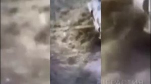 Российские солдат уворачивается от дрона!!!