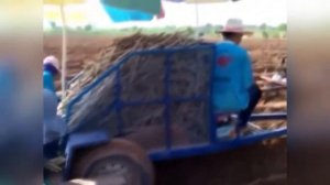 необычная техника для сельского хозяйства