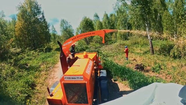 Рубодуб - удаление деревьев
