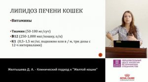 Желтышева Д. А. -  Липидоз печени кошек