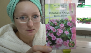 Домашнее видео. Сею катарантус и клюкву. Картофельные котлеты с базиликом и луком.  27 февраля 2024