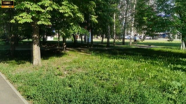 Блиц обзор Honor 30 смотреть онлайн