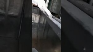 Бокс оглушения КРС, из нержавеющей стали