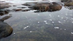 Производственные помещения предприятий общественного питания. (Билет 6).