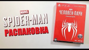 РАСПАКОВКА SPIDER-MAN СПЕЦИАЛЬНОЕ ИЗДАНИЕ PS4. КАК МЕНЯ ПОДВЕЛ ДНС