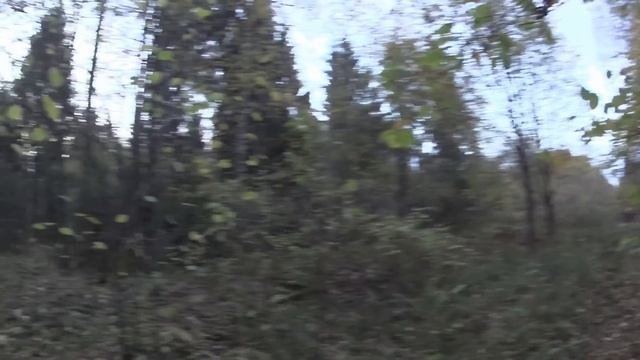 Охоты с Василием Сергеевым  День шестой  Без трофея