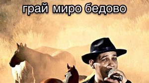 Ян Ферган - грай миро бедово                              Перевод на русский конь мой бедовый